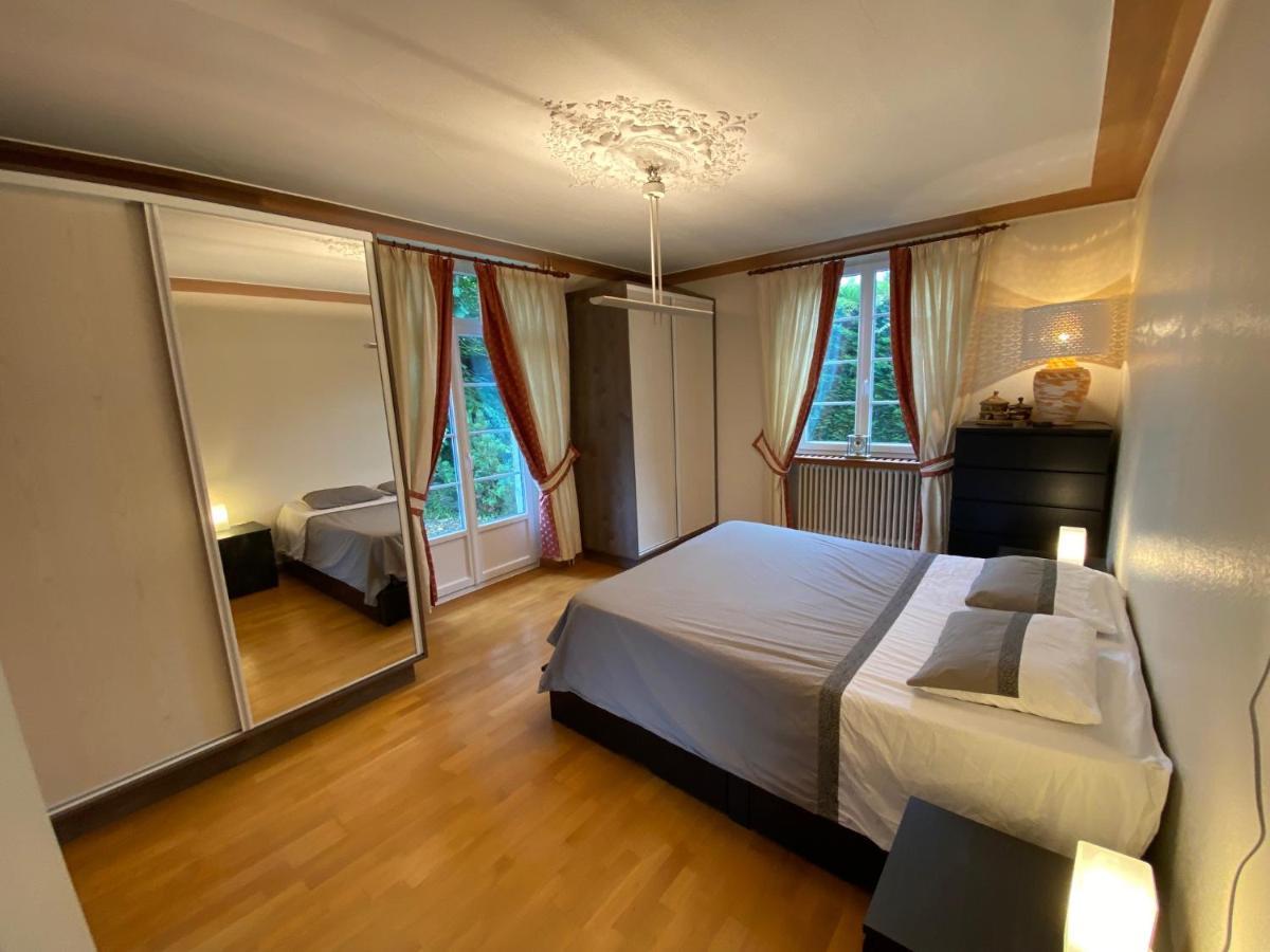 Villa Magnifique A 5 Minutes De Colmar Horbourg