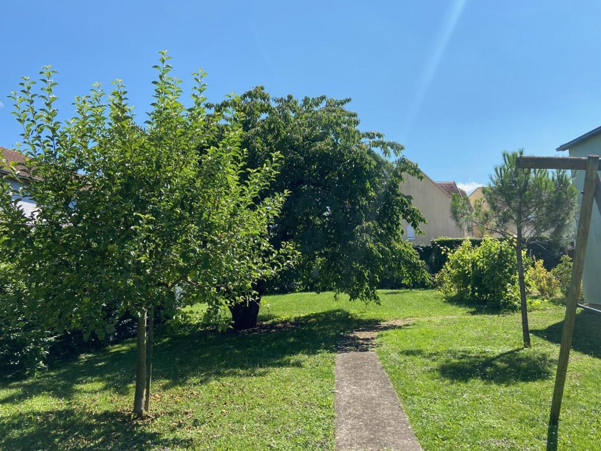 Magnifique A 5 Minutes De Colmar Villa Horbourg