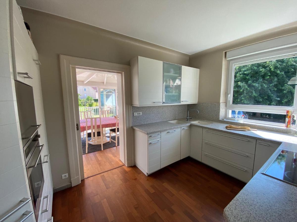 Villa Magnifique A 5 Minutes De Colmar Horbourg